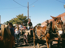 Cleveland Apple Festival