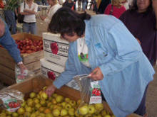 Cleveland Apple Festival
