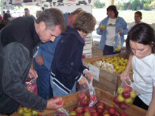 Cleveland Apple Festival